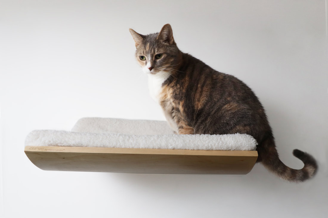 modern cat window perch